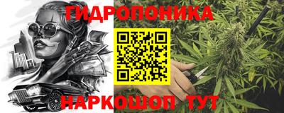 ГАЛЛЮЦИНОГЕННЫЕ ГРИБЫ Славгород