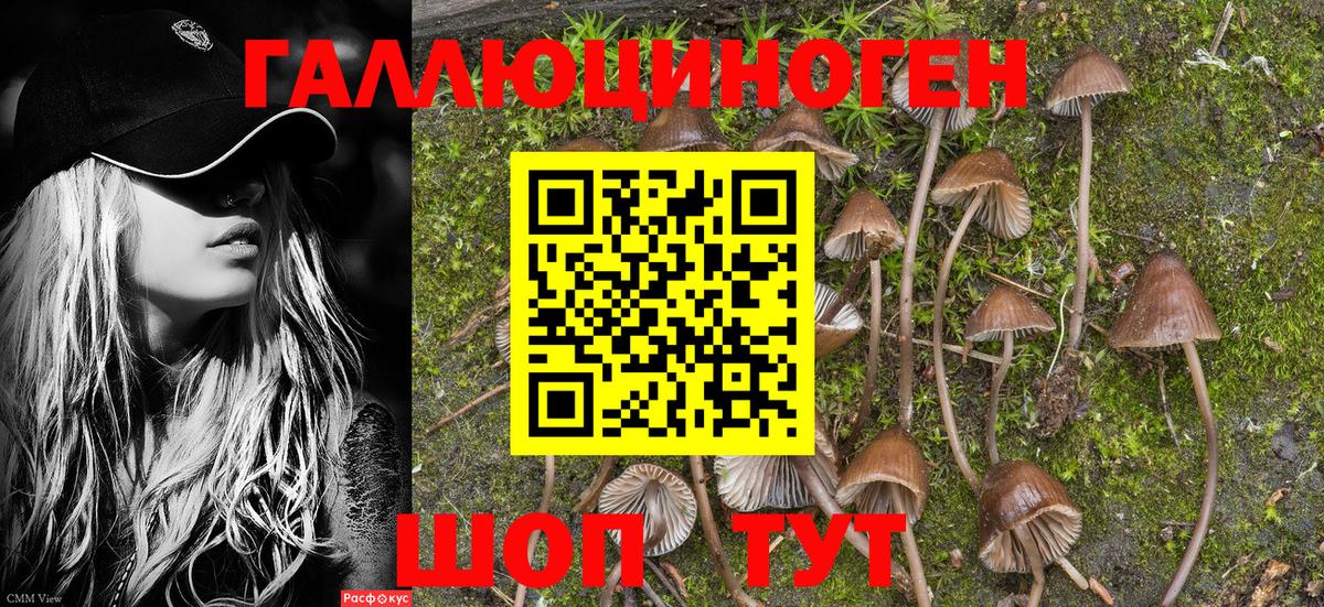 Псилоцибиновые грибы Magic Shrooms  Вход с VPN  Новочеркасск 